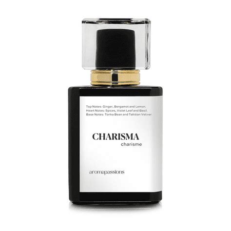 yves saint laurent l'homme dupe